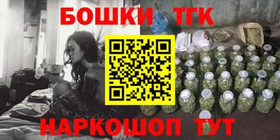 индика Краснознаменск
